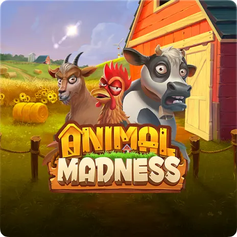 Animal Madness